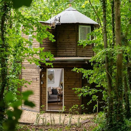 Honeycombe - Treehouse In The Heart Of Dorset Villa Blandford Forum Exteriör bild