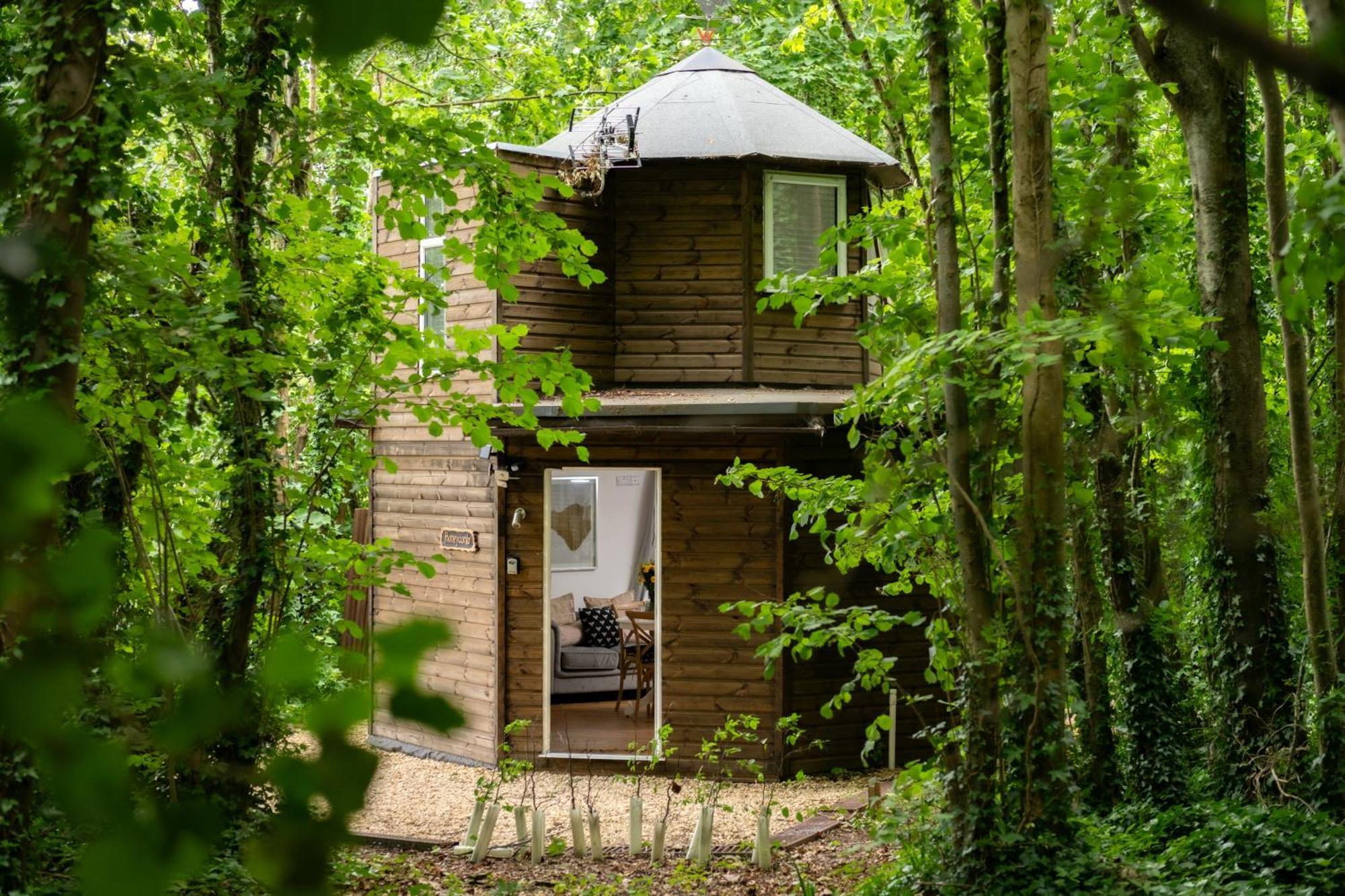 Honeycombe - Treehouse In The Heart Of Dorset Villa Blandford Forum Exteriör bild