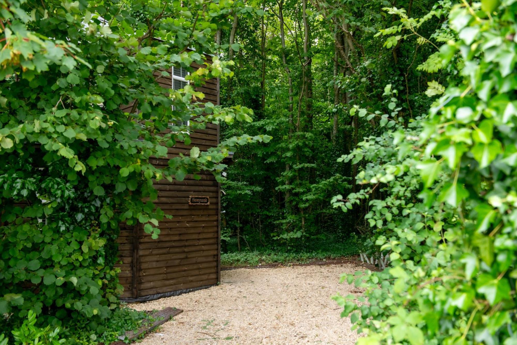 Honeycombe - Treehouse In The Heart Of Dorset Villa Blandford Forum Exteriör bild