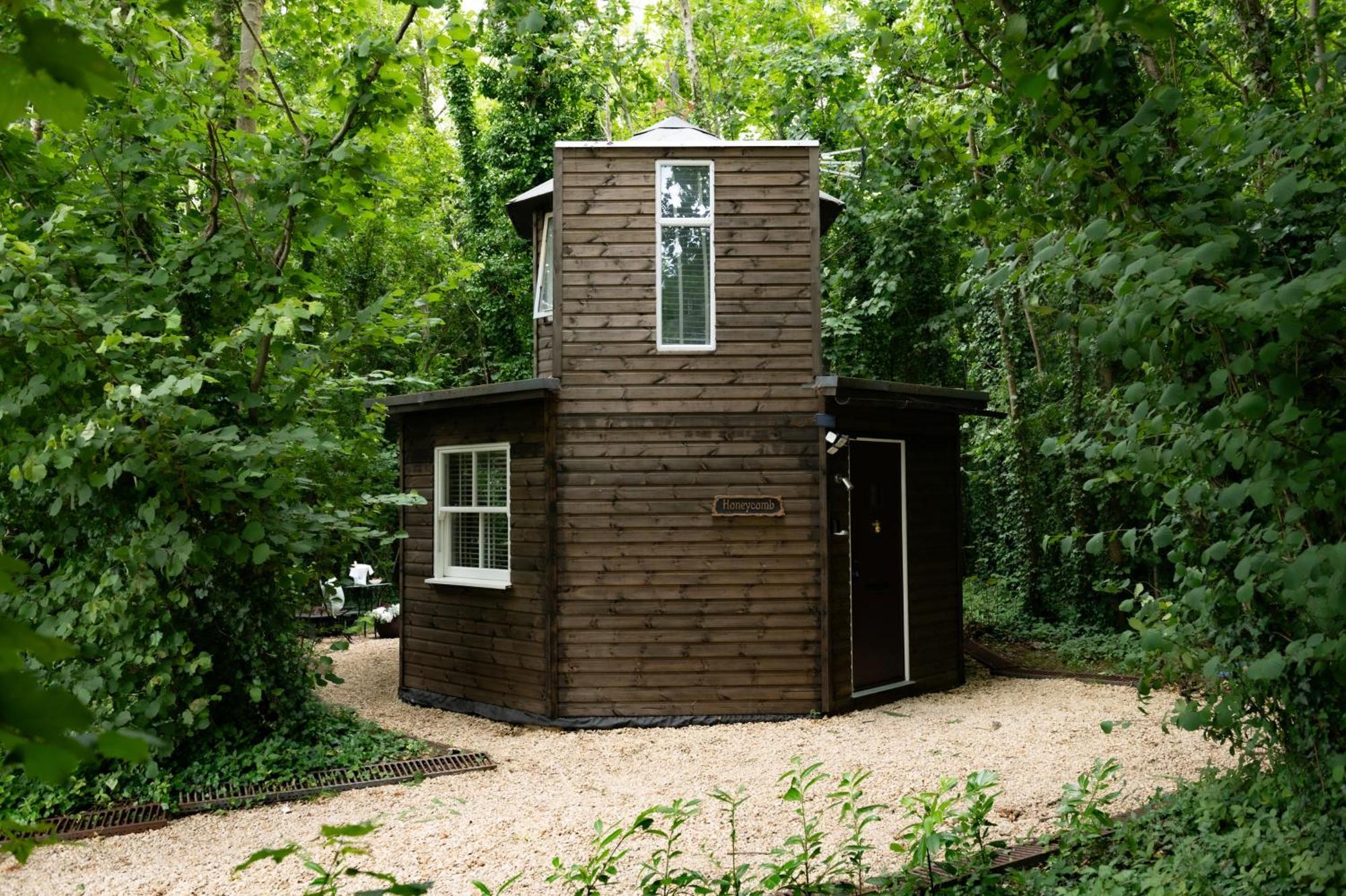 Honeycombe - Treehouse In The Heart Of Dorset Villa Blandford Forum Exteriör bild